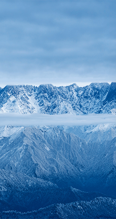 关于缅甸小勐拉99厅